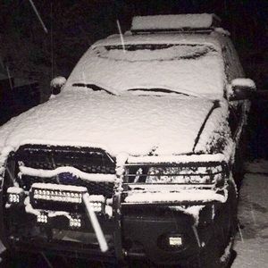 Meet your Posher, Gavin